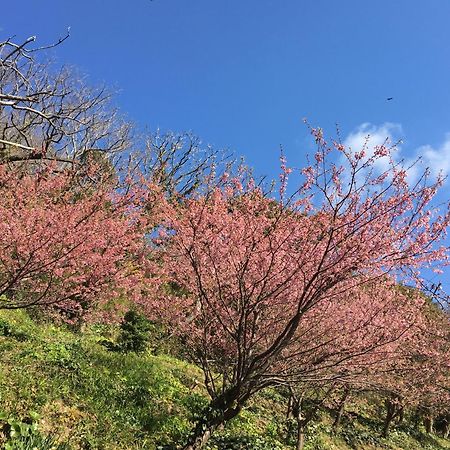 Dogashima Onsen Hotel Nishiizu Luaran gambar