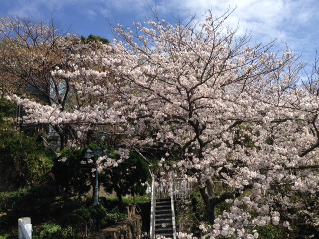 Dogashima Onsen Hotel Nishiizu Luaran gambar