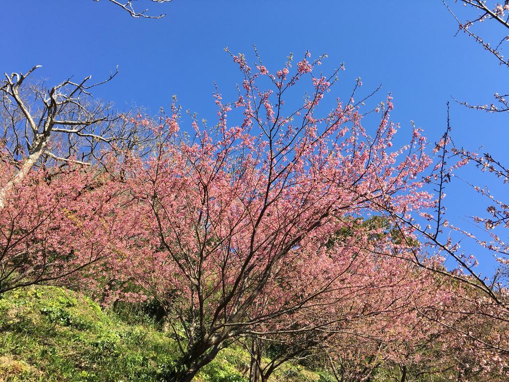 Dogashima Onsen Hotel Nishiizu Luaran gambar